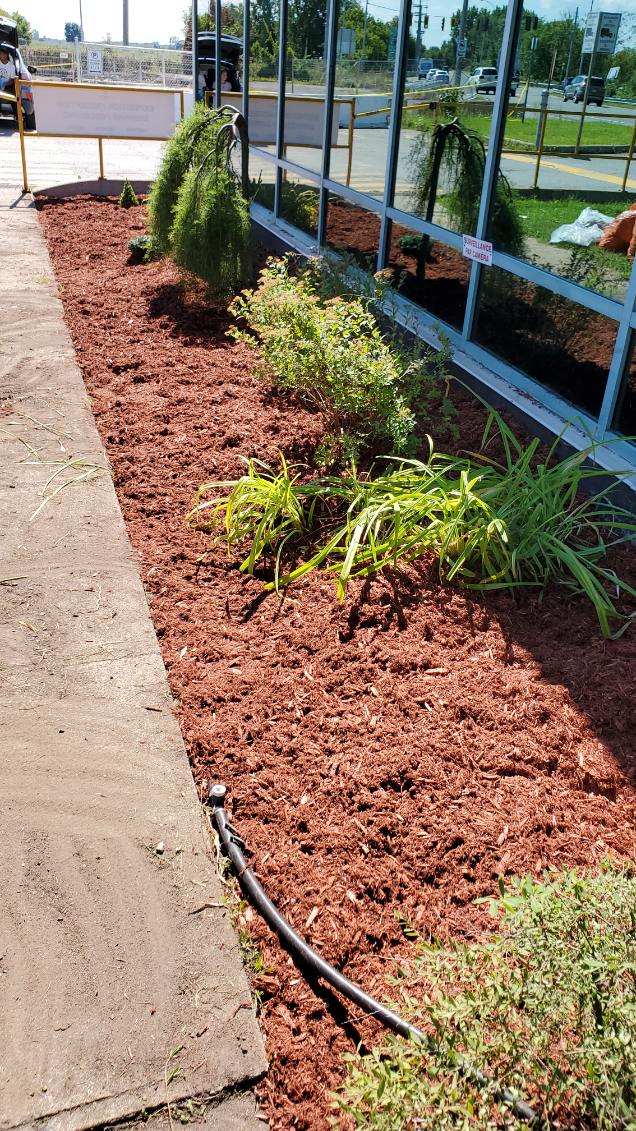 aménagement paysager