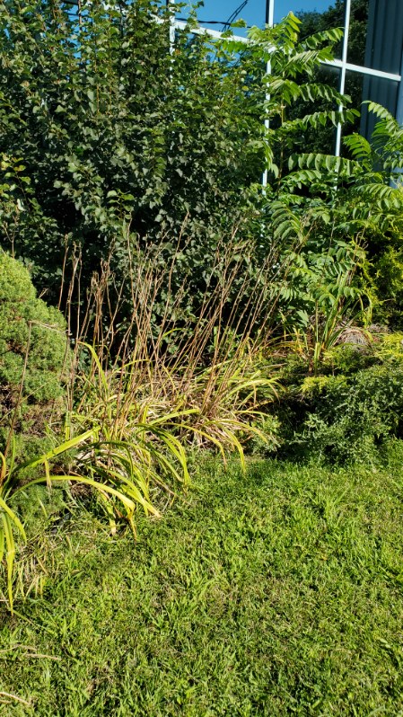 aménagement paysager