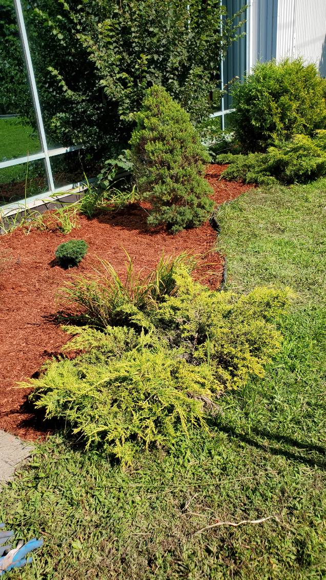 aménagement paysager