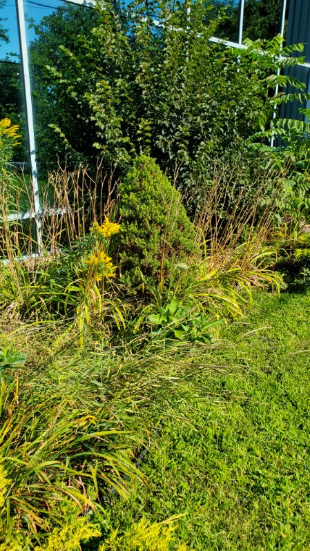 aménagement paysager