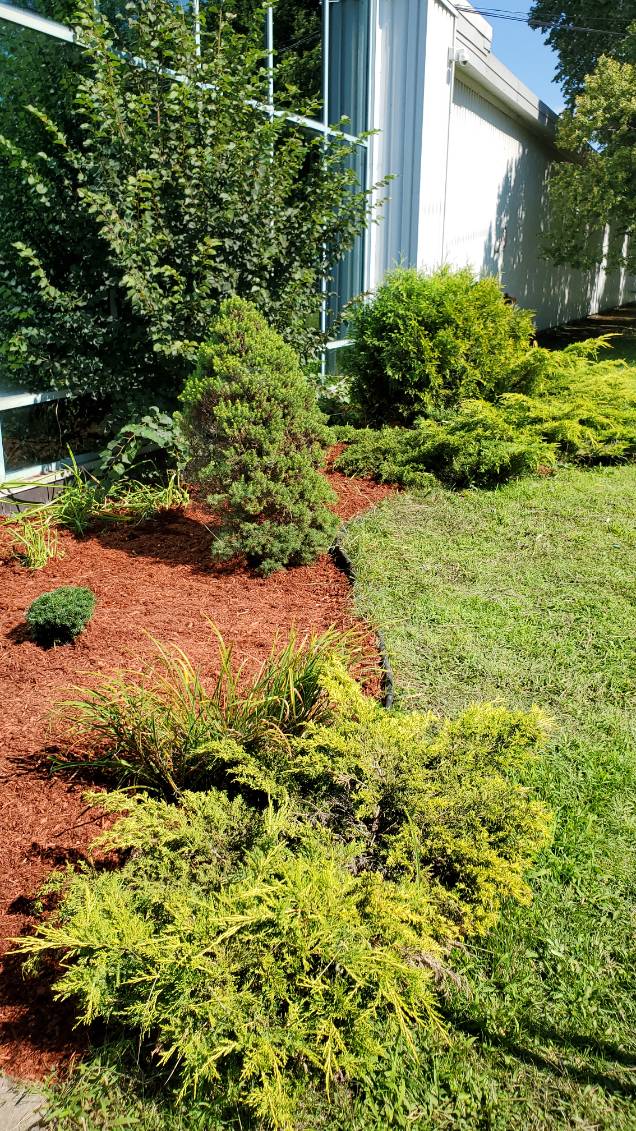 aménagement paysager