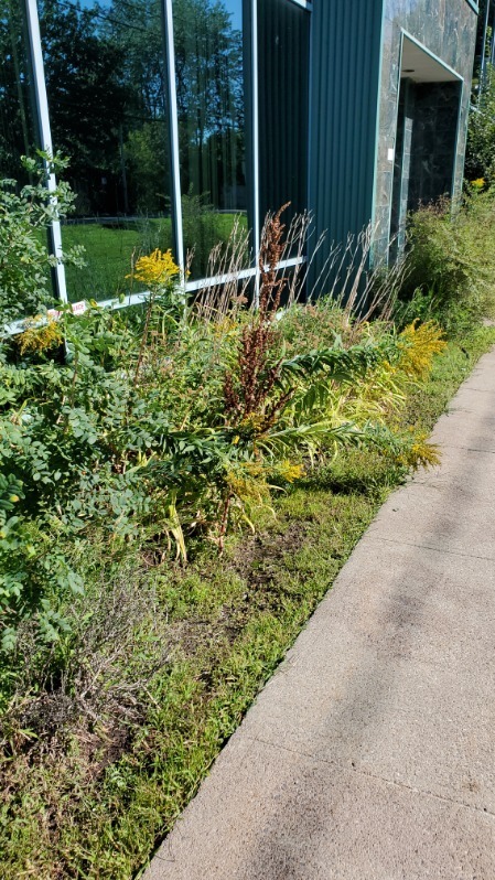 aménagement paysager