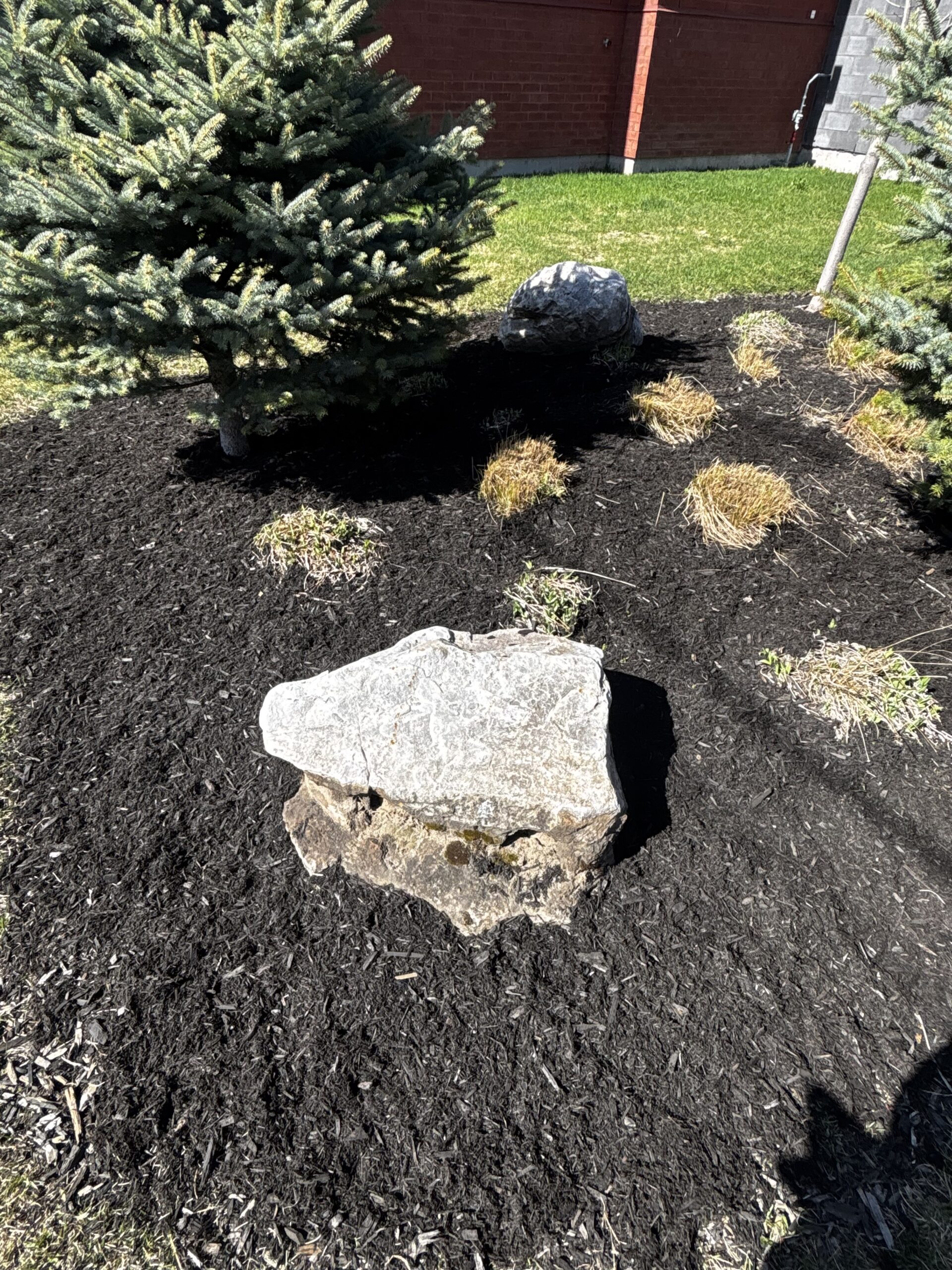 76756174729__F9DADB6F-2DA7-48E6-9266-E410AD99A989